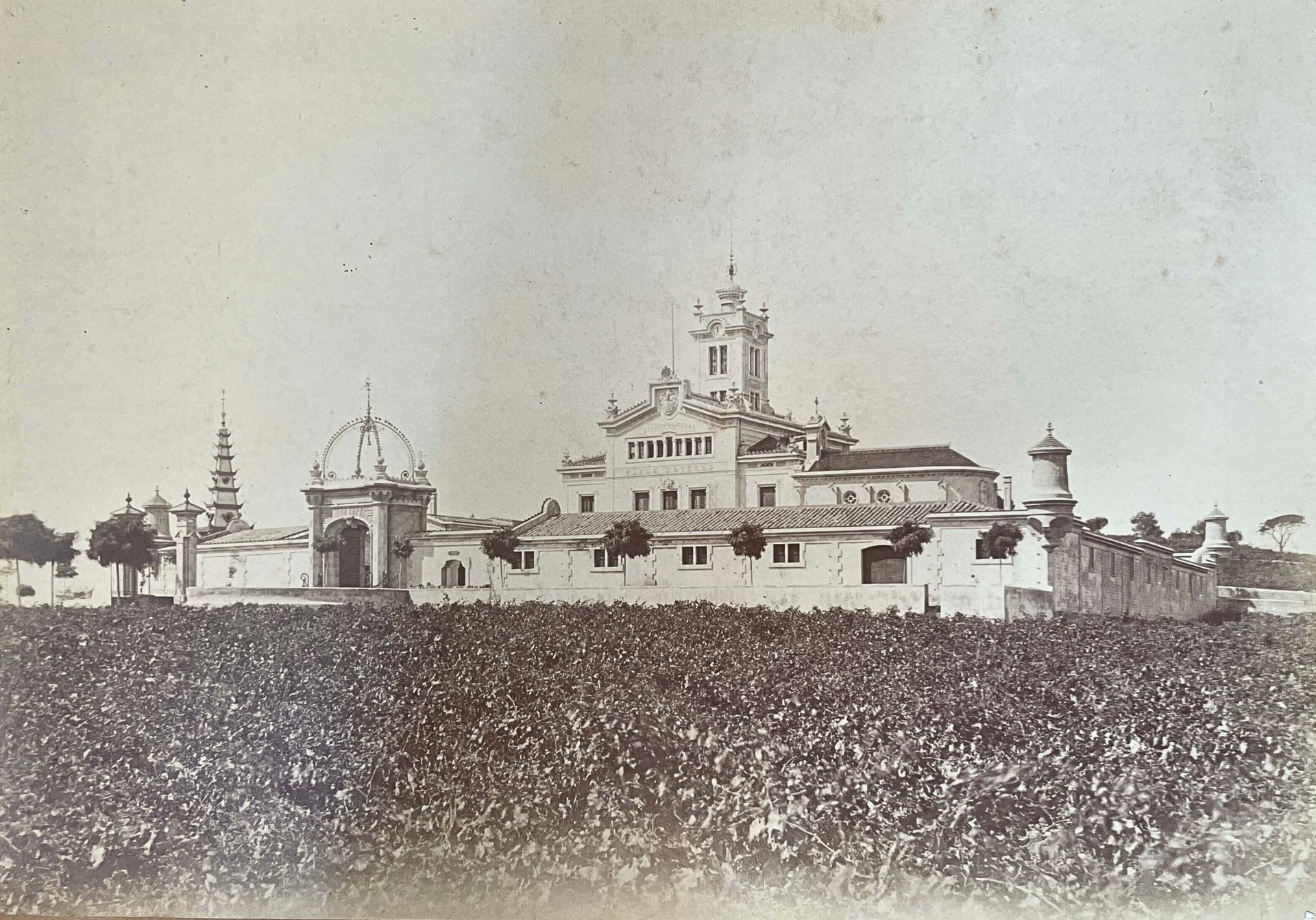 Plana Novella Agricultural Colony